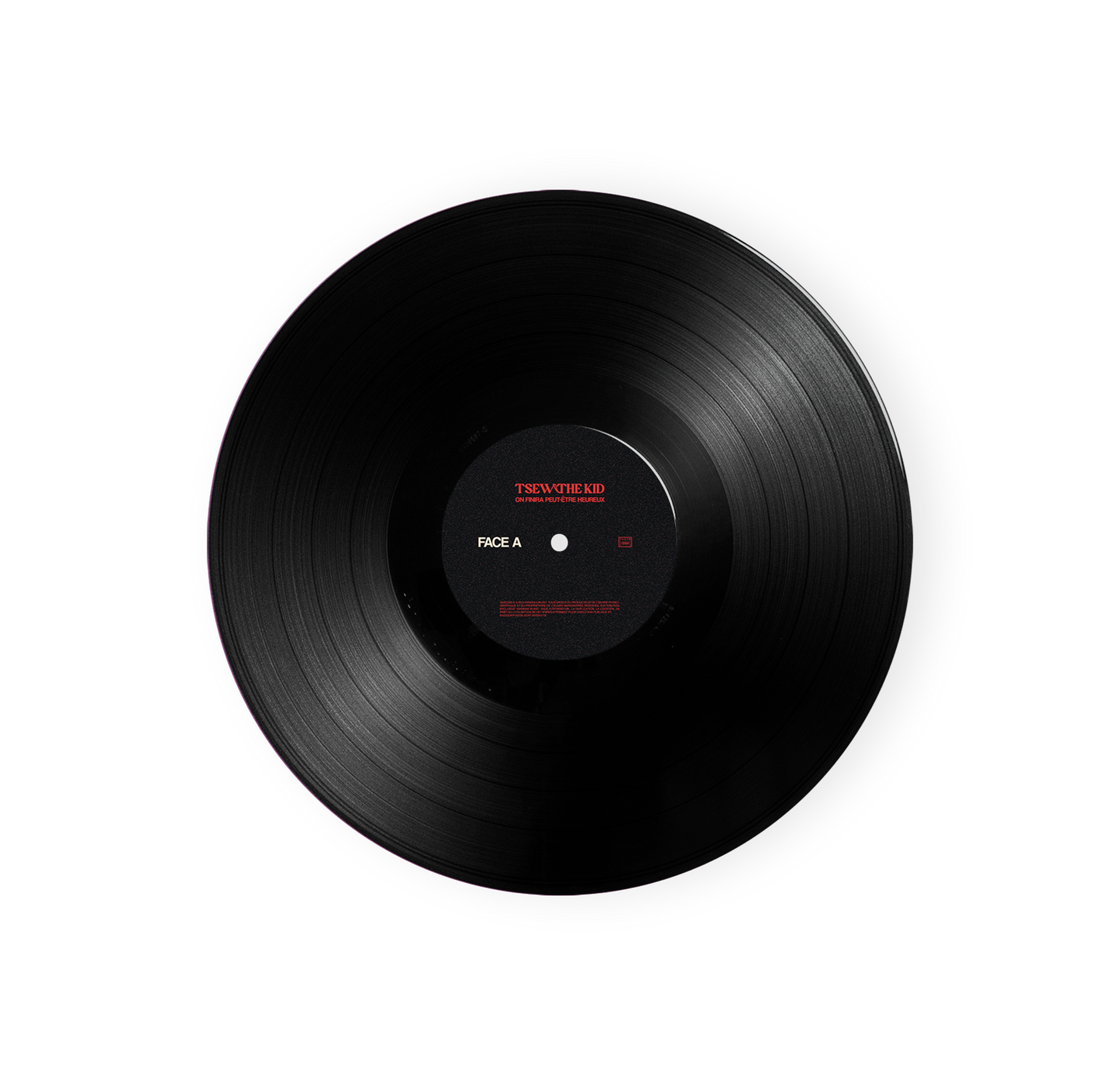 Vinyle "On finira peut-être heureux"